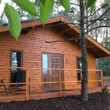 Butterfly Cabin Limerick Junction 외부 사진