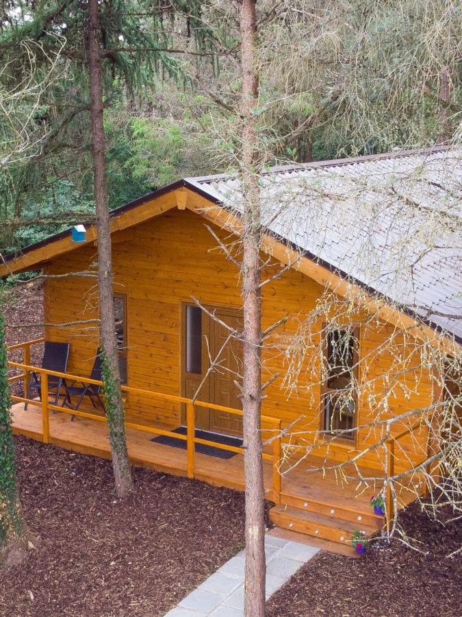 Butterfly Cabin Limerick Junction 외부 사진