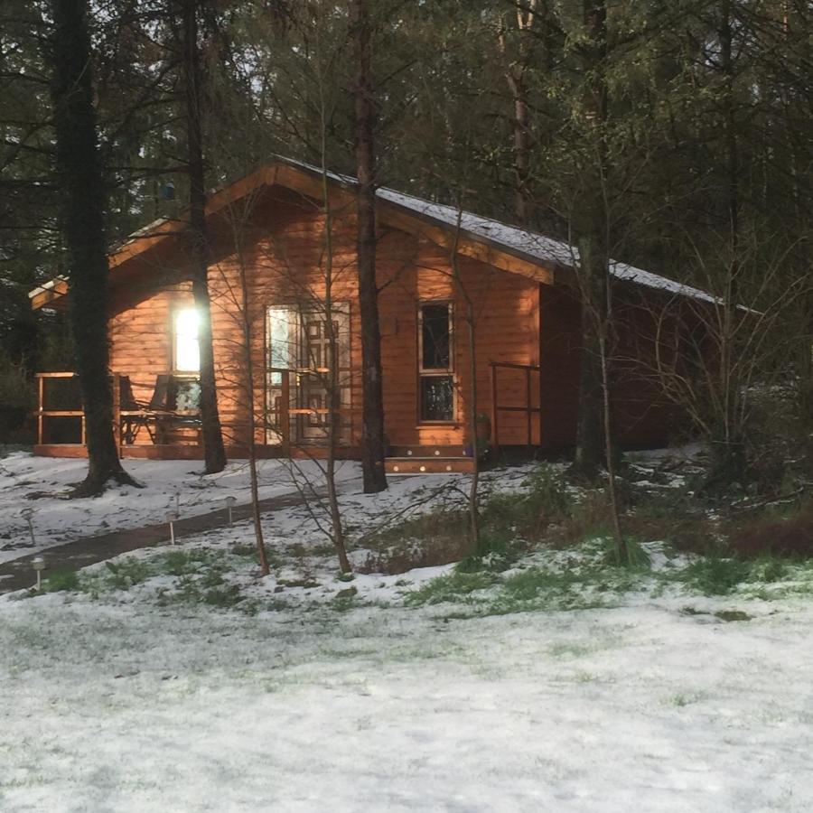Butterfly Cabin Limerick Junction 외부 사진
